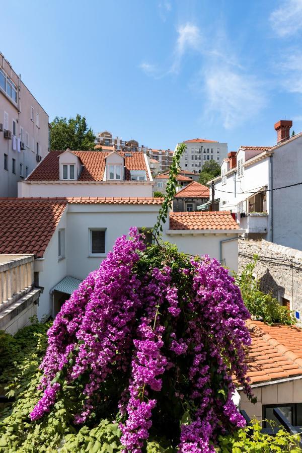 Van Gogh Dubrovnik